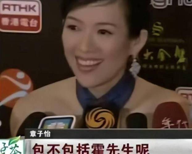 央视警告章子怡老实交代 网民愤怒要其退出娱乐圈