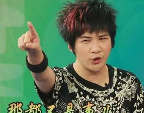 女明星做假_娱乐圈假脸假作品假年龄_娱乐圈假唱假学历假身高